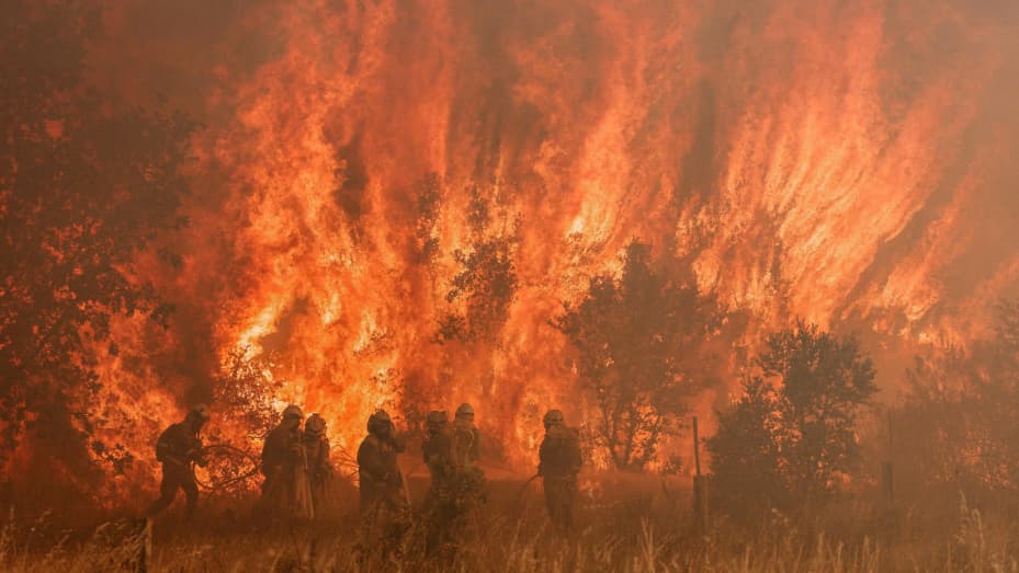 TOPSHOT - Firefighters operate at the site of a wildfire in Pumarejo de Tera near Zamora, northern Spain, on June 18, 2022. - Firefighters continued to fight against multiple fires in Spain, one of which ravaged nearly 20,000 hectares of land, on the last day of an extreme heat wave which crushed the country, with peaks at 43 degrees. The largest of these forest fires was still out of control this afternoon in the Sierra de la Culebra, a mountain range in the region of Castile and Leon (northwest), near the