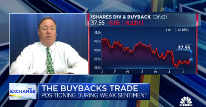 Buybacks have been the biggest killer of stock prices, says Reynolds Strategy’s Brian Reynolds