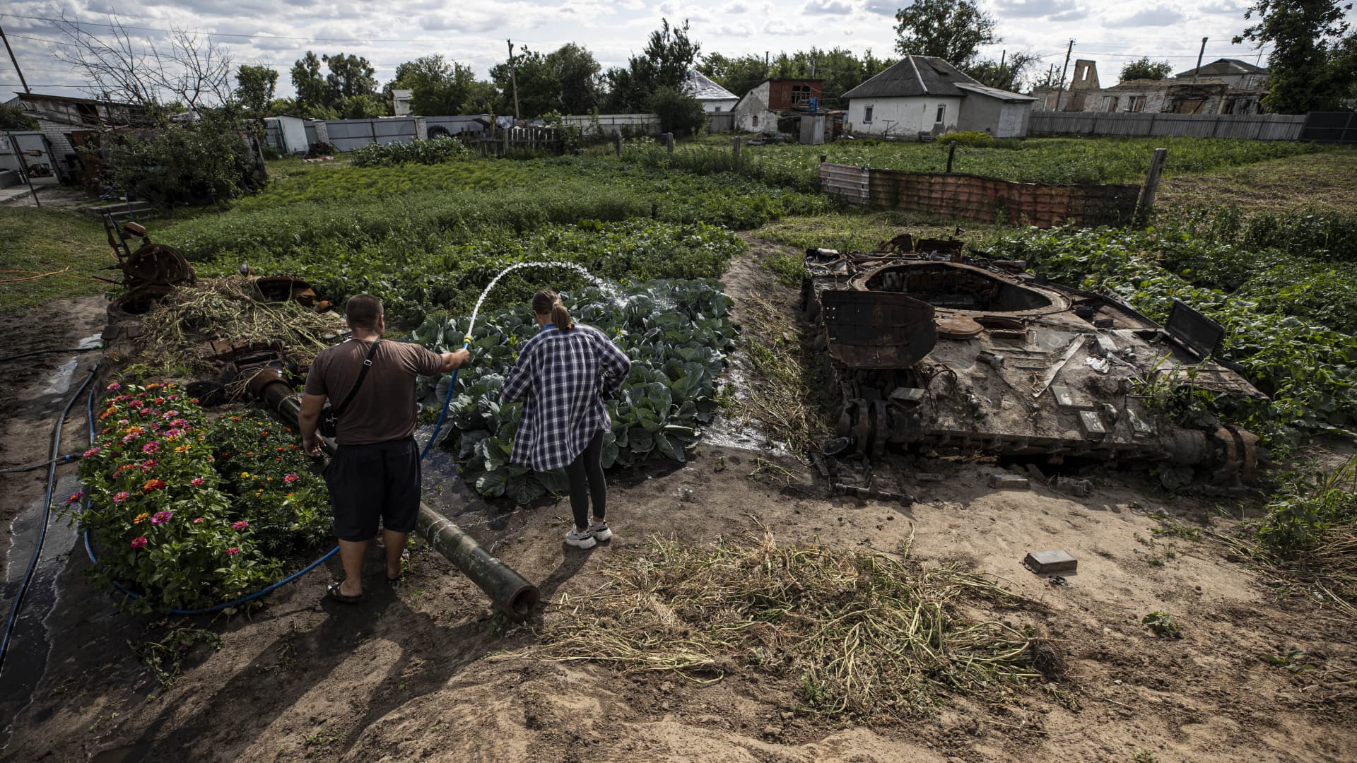 A family grows vegetables in their garden where the wreckage of the tank belonging to the Russian forces is located, in Velyka Dymerka settlement, Kyiv, Ukraine on July 21, 2022. 