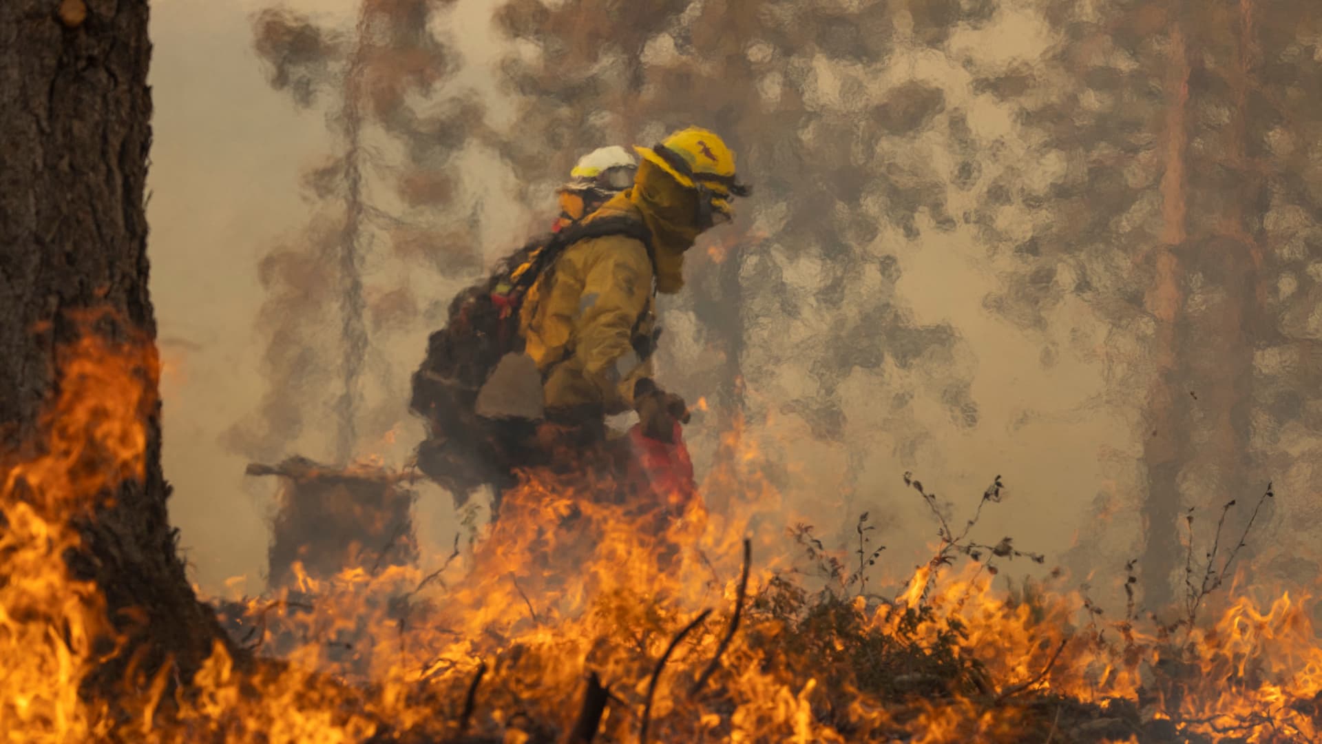 A firefighter lights a backfire while fighting the Oak Fire on near Mariposa, California, on July 24, 2022.