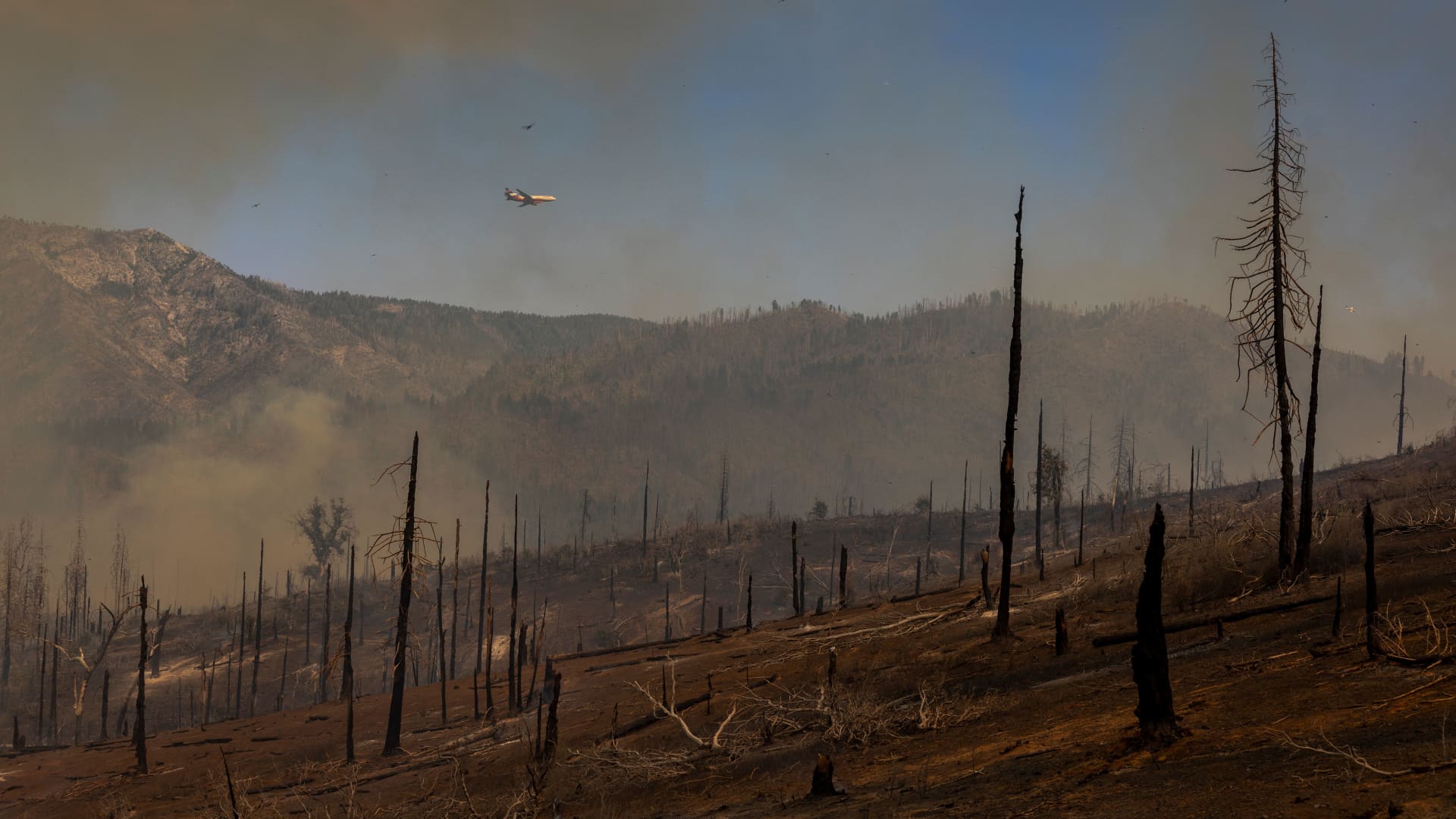 A firefighting air tanker flies over a forest decimated by the Oak Fire near Mariposa, California, on July 24, 2022.