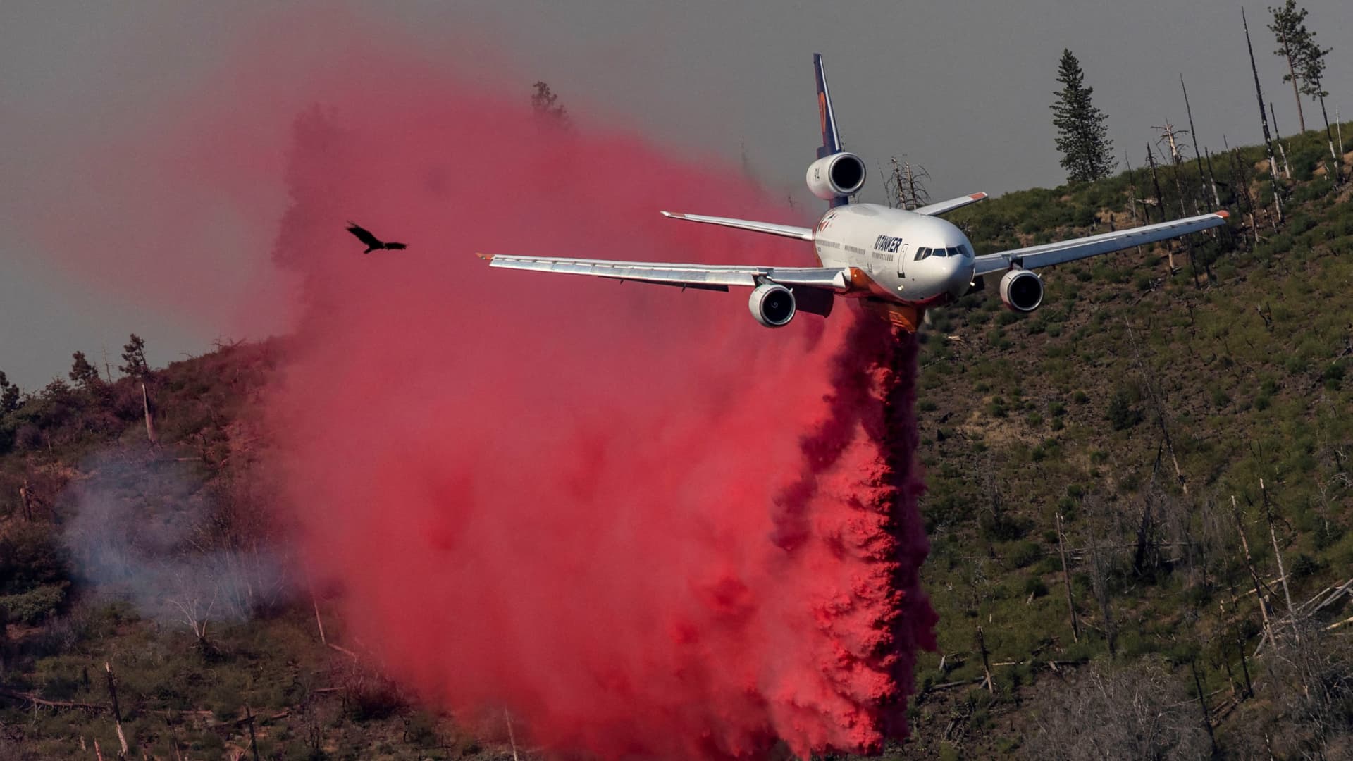 A bird flies as a firefighting aircraft drops flame retardant on a hillside to control the Oak Fire while burning near Darrah in Mariposa County, California, U.S., July 24, 2022. 