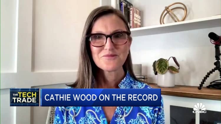 We think we're in an inventory-led recession, says Cathie Wood