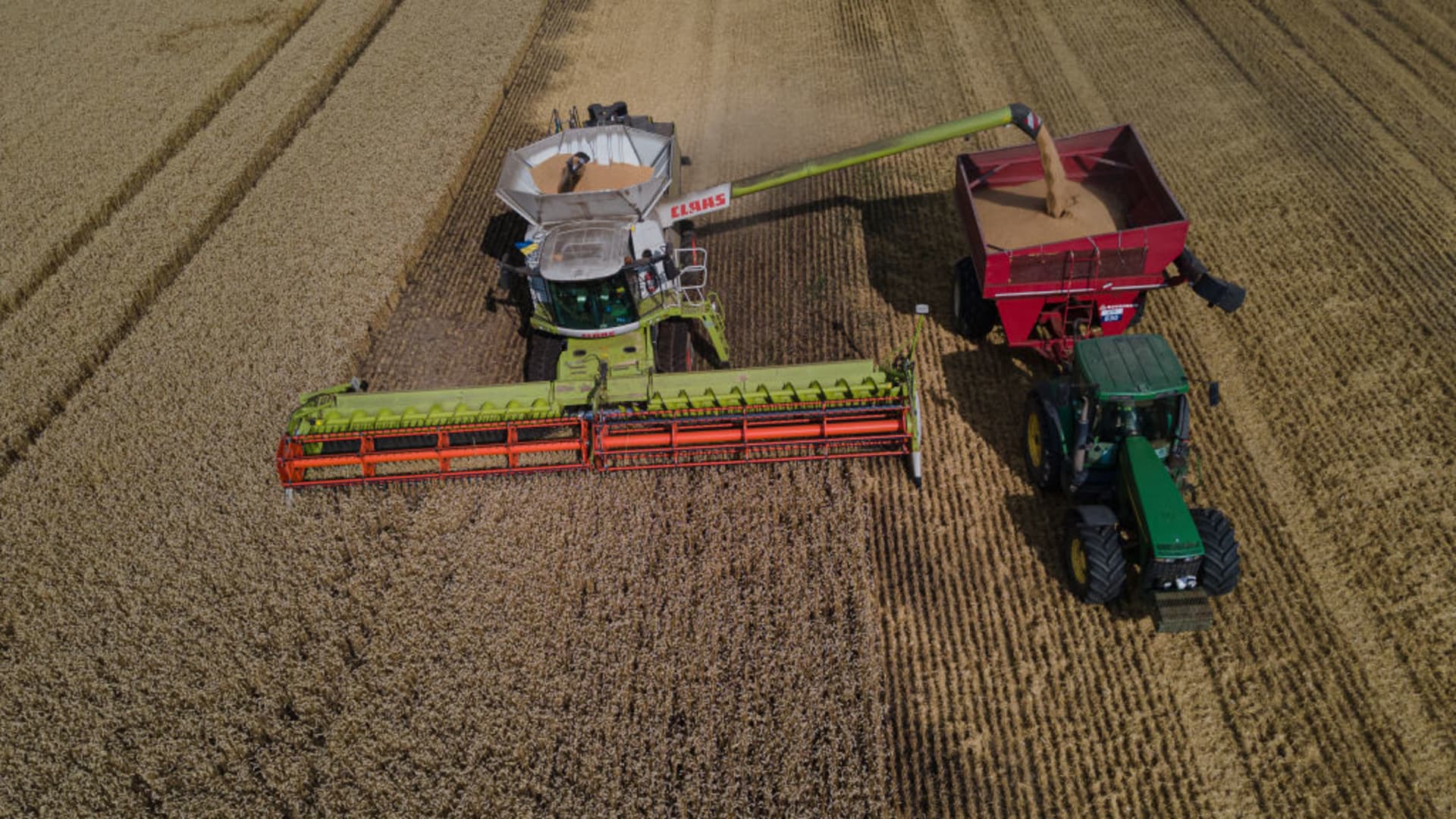 A combine harvester of Continental Farmers Group agricultural company harvests wheat on August 4, 2022 in the Ternopil region of Ukraine. 