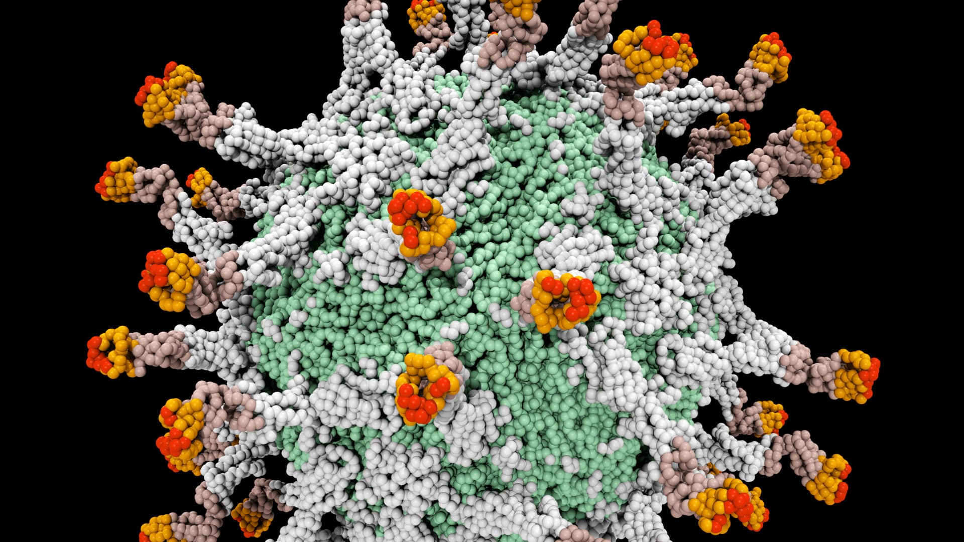 Digitally generated image of 3D molecular model of polio virus