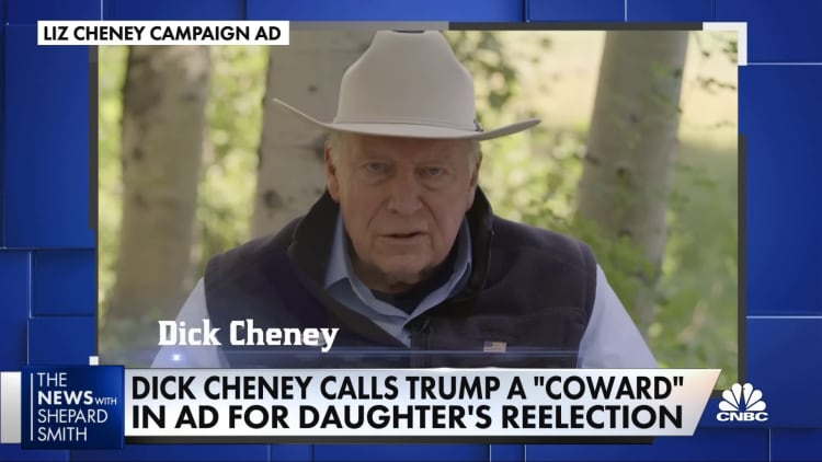 Dick Cheney does ad for his daughter's congressional campaign in Wyoming