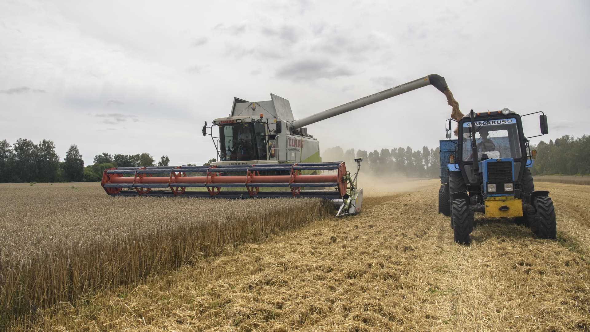 The grain harvester collects wheat on the field near the village of Zgurivka in the Kyiv region, while Russia continues the war against Ukraine, Aug. 9, 2022.