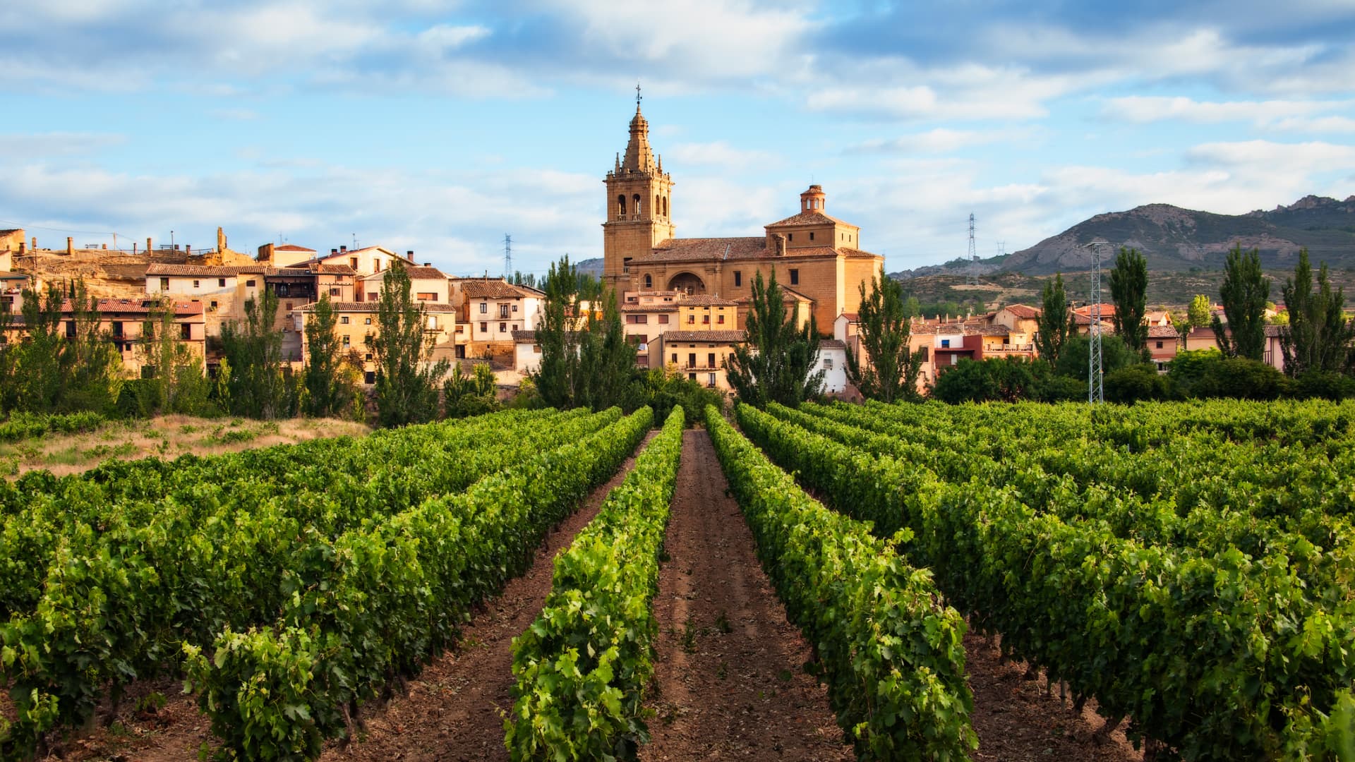 The village of Brinas in the La Rioja region in northern Spain. The area has more than 500 wineries, around 80 of which welcome visitors.