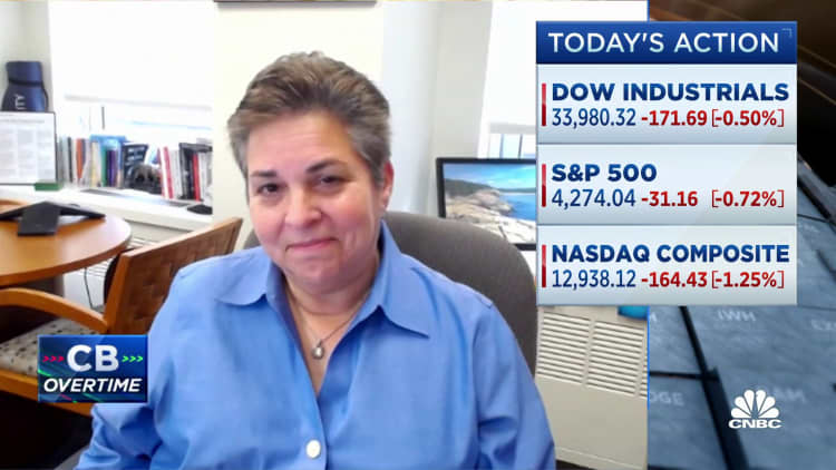 Markets will retest the lows, but get through them, says Morgan Stanley Wealth Management's Lisa Shalett
