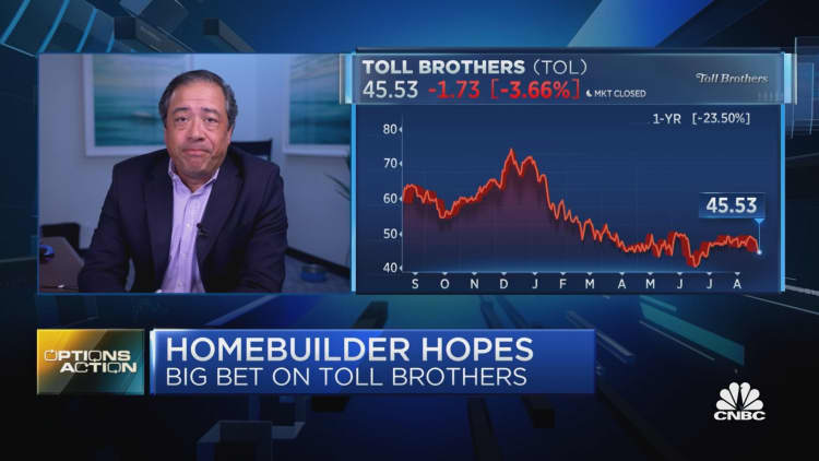 Options Action: Toll Brothers ahead of earnings