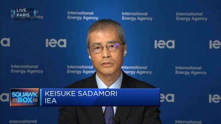 IEA director says Japan's conversion to nuclear power 
