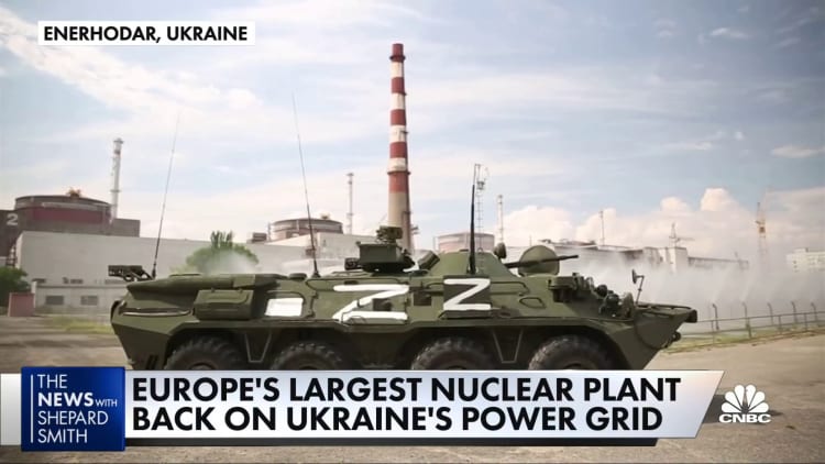 Europe's largest nuclear plant back on Ukraine's grid