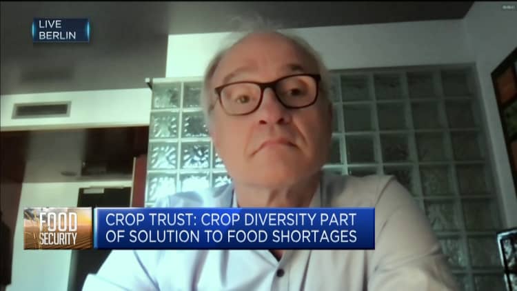 Crop diversity is 'absolutely key' to global food security: Crop Trust