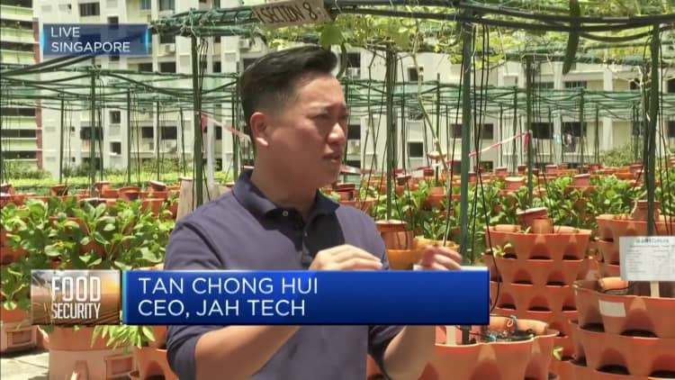 This agritech firm is working towards meeting Singapore's food security goals