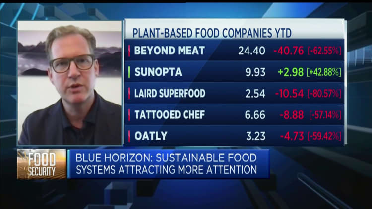 Blue Horizon: Expect 'strong' adoption curve of plant-based meat in fast food chains