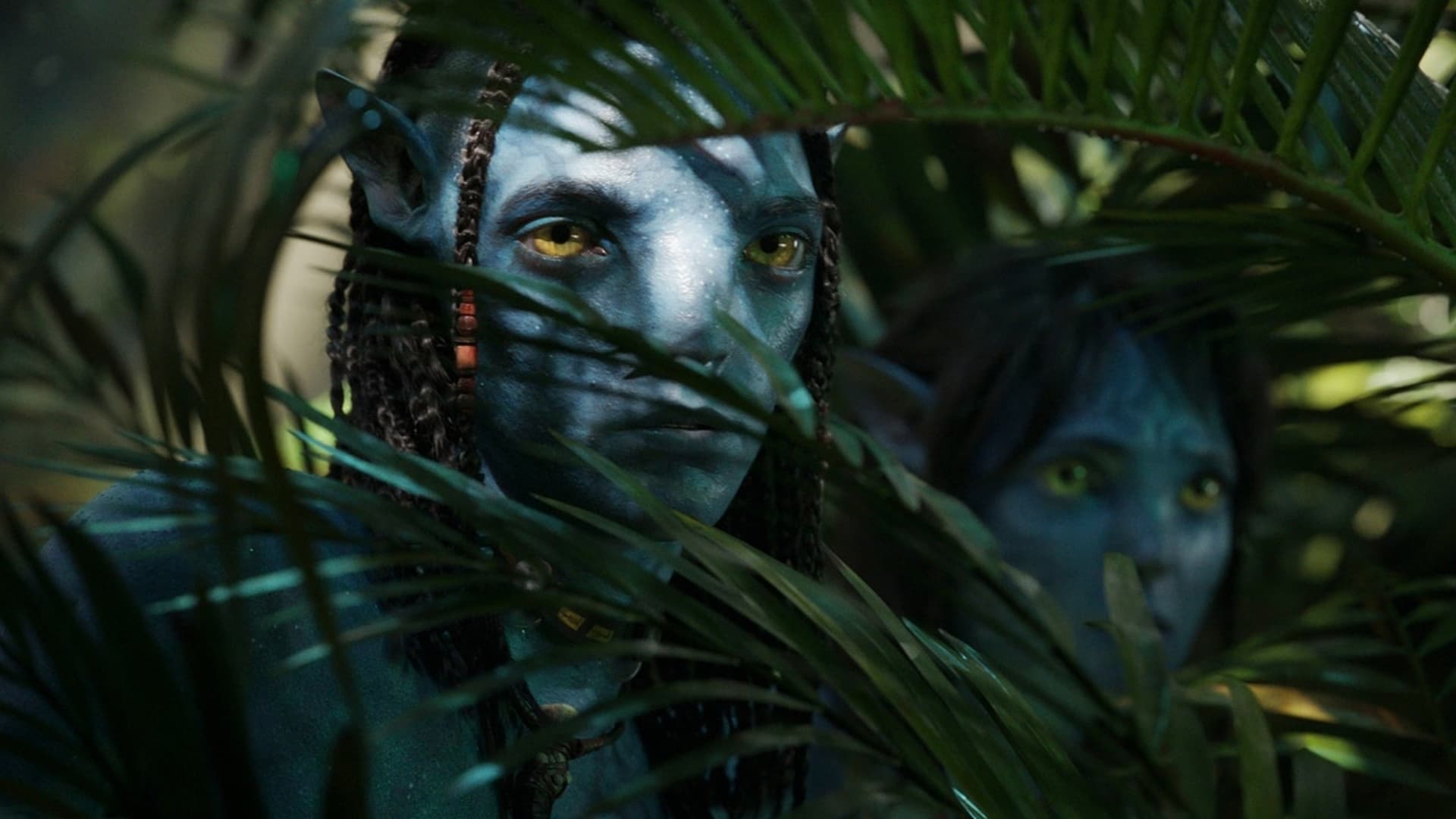Disney's 'Avatar: The Way of Water' gets coveted China release