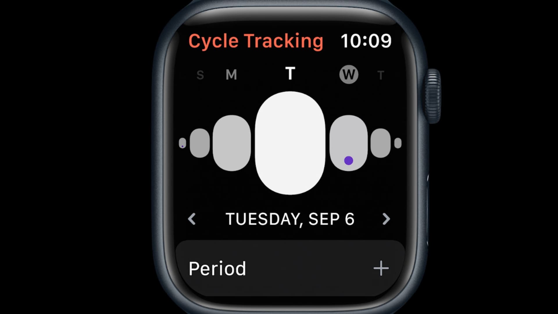 Apple Watch Cycle Tracking