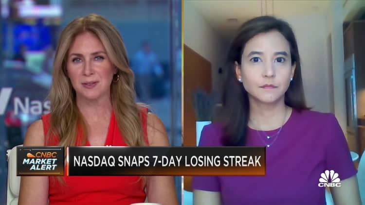 Stock market will continue to be volatile in the fall, says JPMorgan's Gabriela Santos