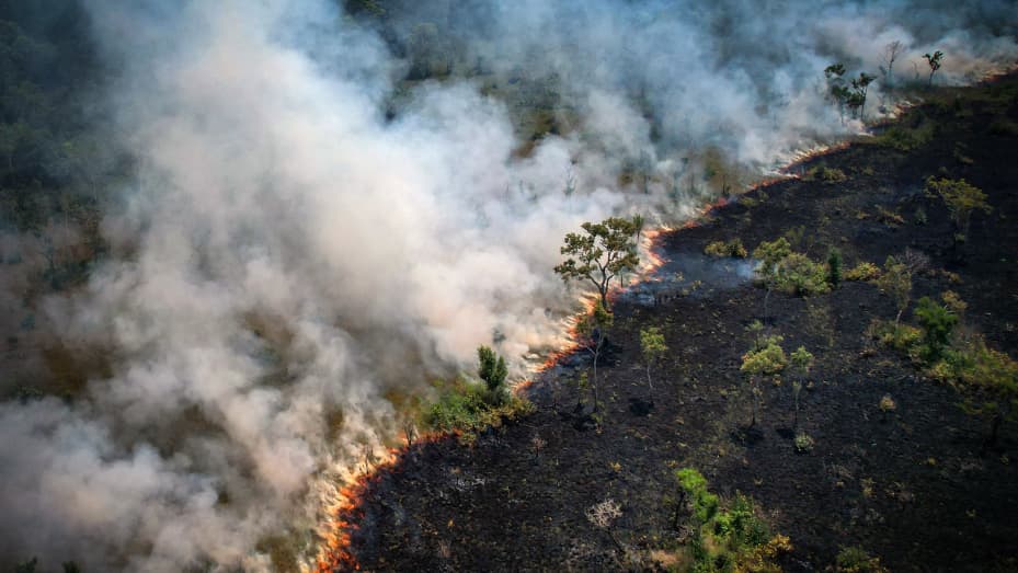 Experts say Amazon fires are caused mainly by illegal farmers, ranchers and speculators clearing land and torching the trees.