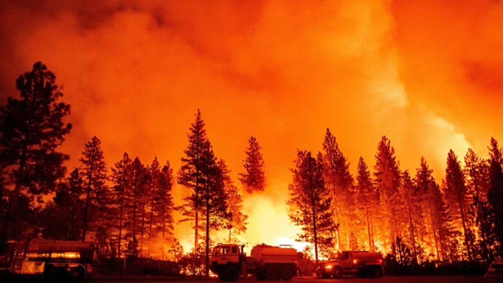 Tesla aims to cut wildfire smoke exposure for Nevada Gigafactory workers, memo explains