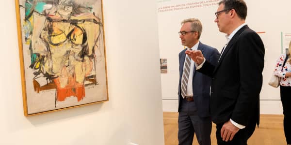 A purchase at a small town sale turned out to be a 'priceless' de Kooning painting stolen in 1985