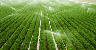 U.S. farms waste a lot of water — but this irrigation tech could help