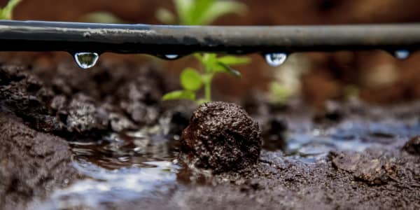 How these startups are fixing water waste on farms