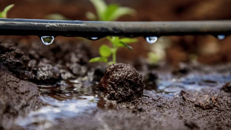 How these startups are fixing water waste on farms