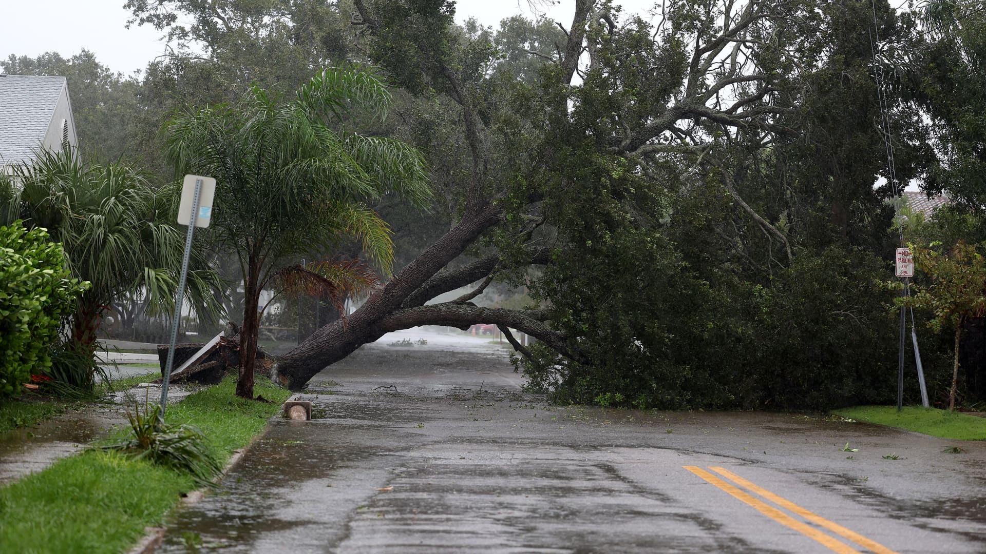 A down tree lays over the road after being toppled by the winds and rain from Hurricane Ian on September 28, 2022 in Sarasota, Florida.