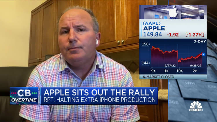 There are still opportunities to buy Apple, says Wedbush's Dan Ives