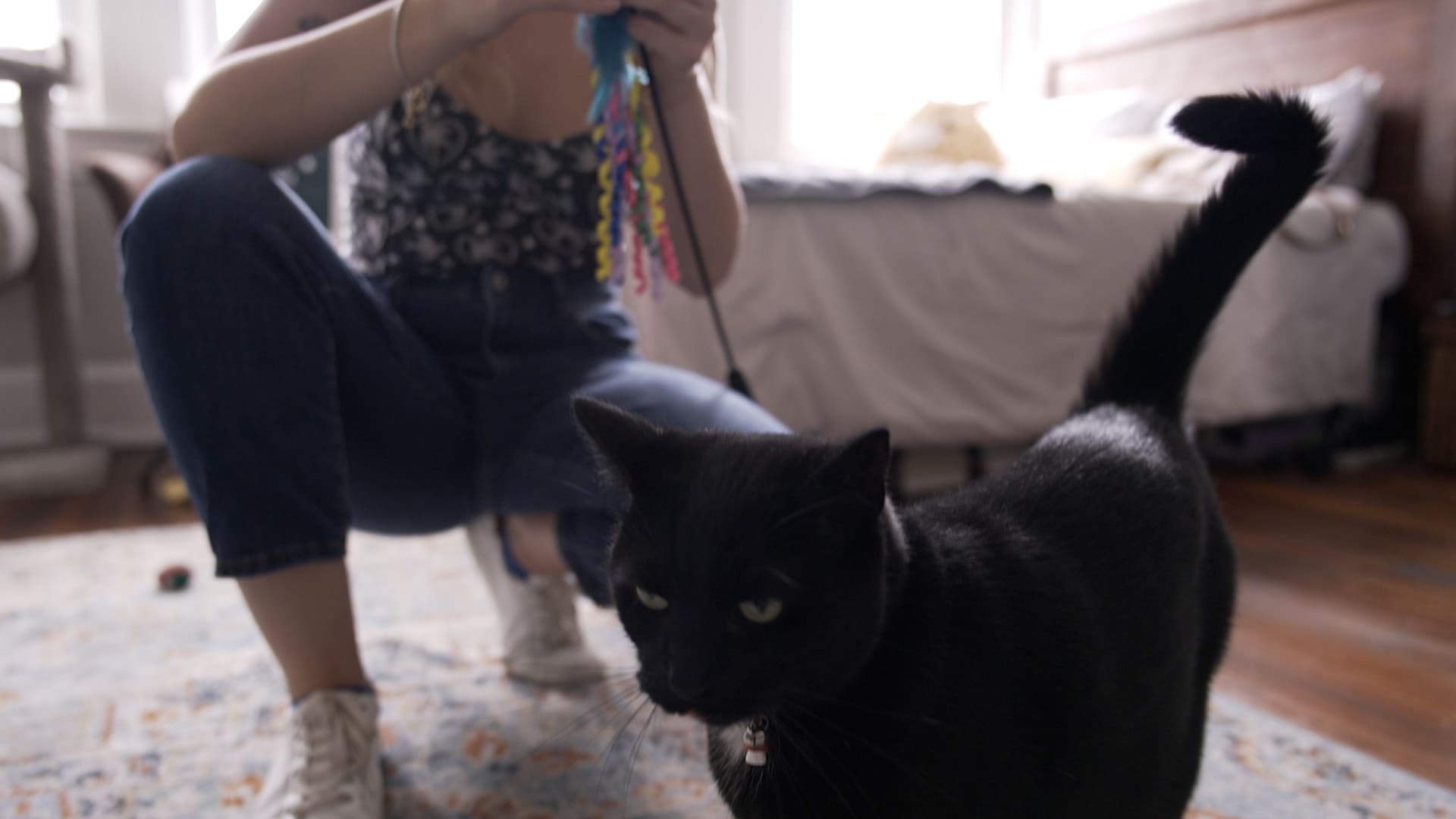 Aspeyn Langhals shares a 275-square-foot apartment with her cat, Daniel.