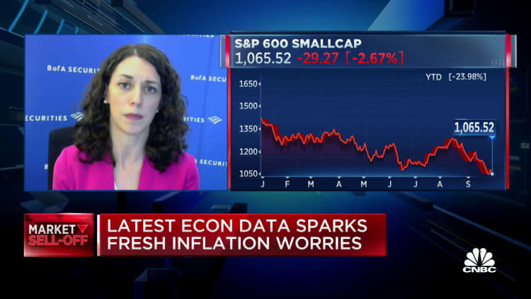 Bank of America's Jill Carey Hall makes the case for small caps