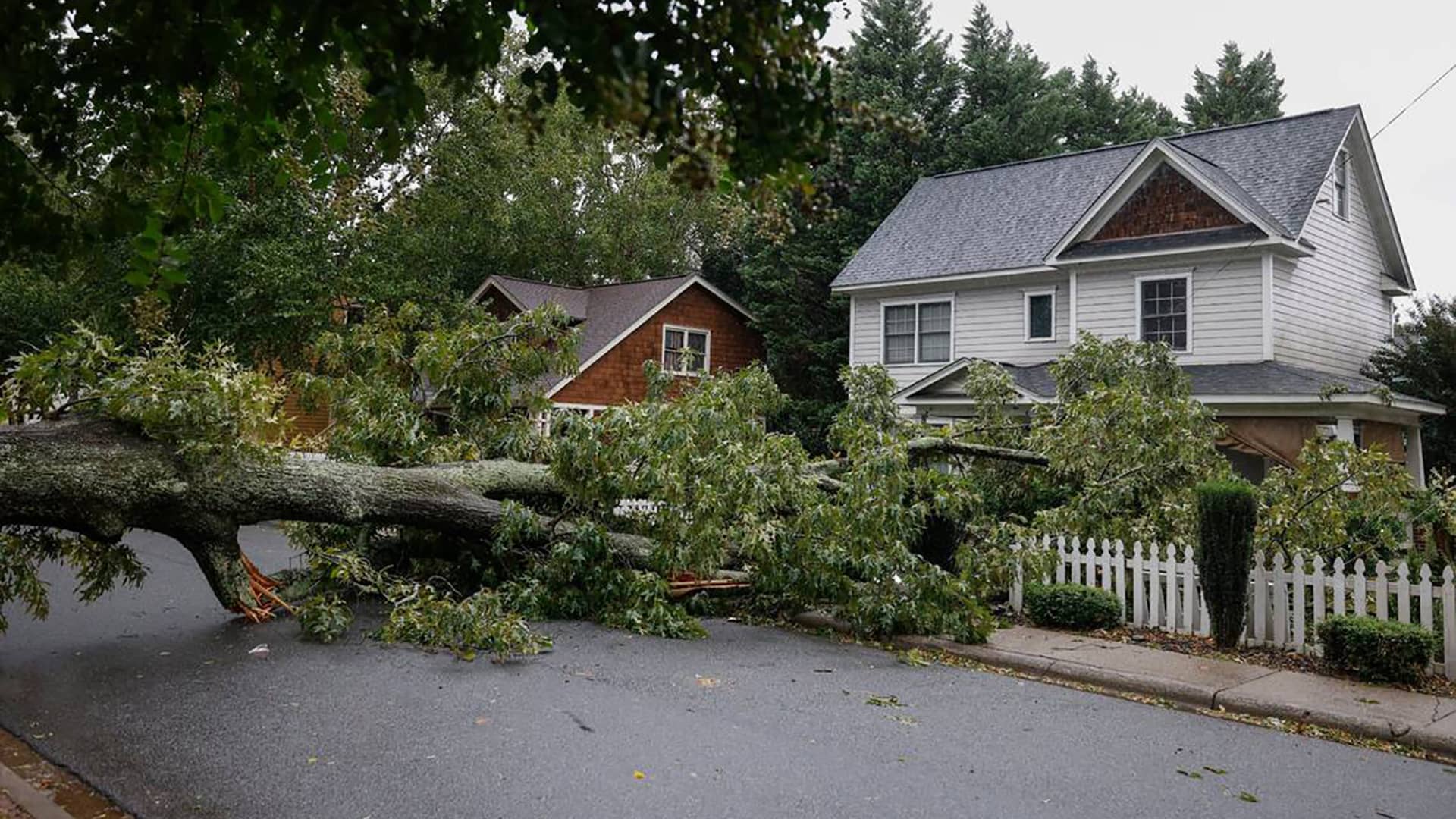 A fallen tree blocks Holt Street as Hurricane Ian and its remnants begins to arrive in Charlotte, North Carolina, on Sept. 30, 2022.