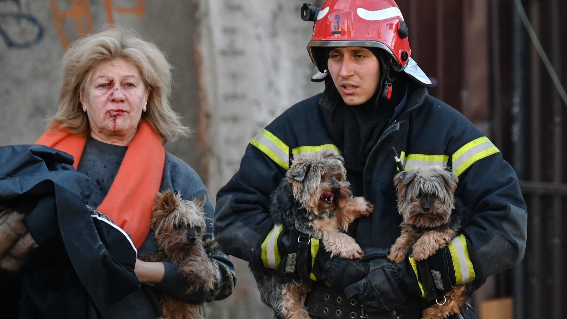 An emergency worker carries dogs as he escorts a local resident outside a partially destroyed multi-storey office building after several Russian strikes hit the Ukrainian capital of Kyiv on October 10, 2022.