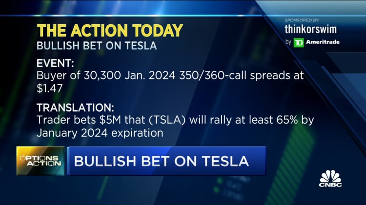 Options traders place bullish bet on Tesla shares