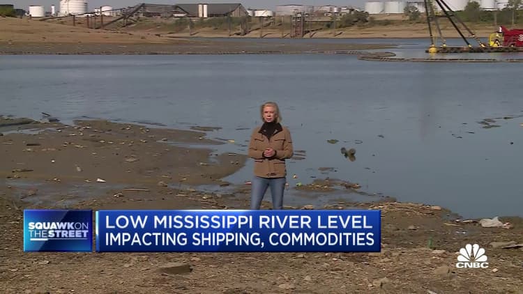 Mississippi River water levels hit a 30-year low, leaving barges at a standstill
