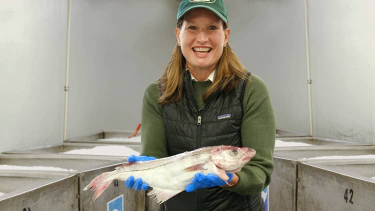 Making $200,000 a year selling fresh fish in New England