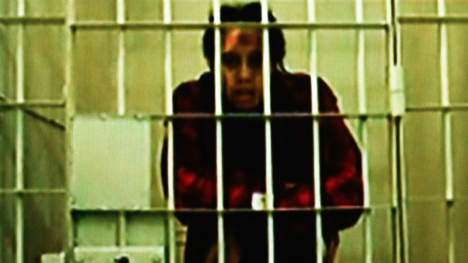 US basketball player Brittney Griner, who was sentenced to nine years in a Russian penal colony in August for drug smuggling, is seen on a screen via a video link from a remand prison before a court hearing to consider an appeal against her sentence, at the Moscow regional court on October 25, 2022.