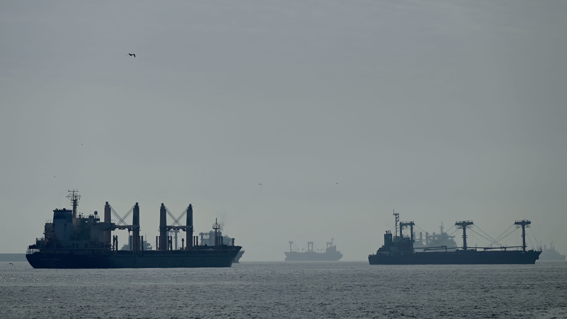 A photograph taken on October 31, 2022, shows cargo ships loaded with grain in the anchorage area of the southern entrance to the Bosphorus in Istanbul.
