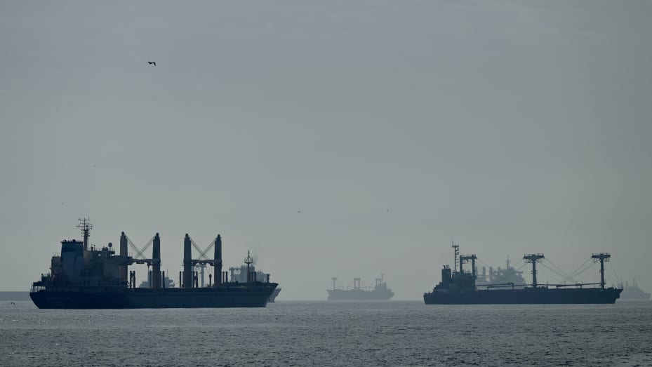 A photograph taken on October 31, 2022 shows cargo ships loaded with grain in the anchorage area of the southern entrance to the Bosphorus in Istanbul. - Cargo ships loaded with grain and other agricultural products left Ukrainian ports on october 31, 2022 despite Russia's decision to pull out from a landmark deal designed to ease a global food crisis. As one of the brokers of the grain deal, Turkey has stepped up diplomacy with the two warring countries in a bid to save it as Russia warned that continuing