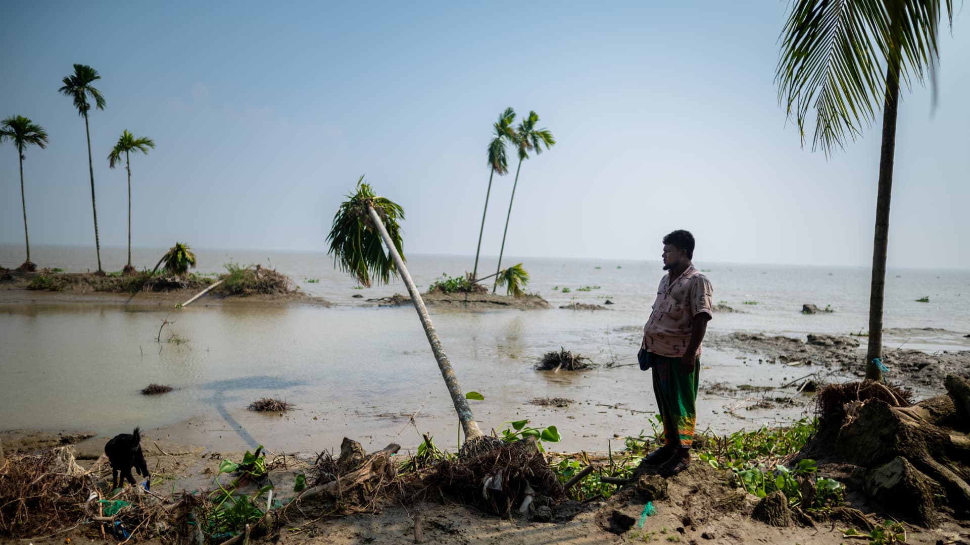 A man inspects a devastated field in the village of Ramdaspur affected by Cyclone Sitrang in Bhola under Barishal, Division, Bangladesh on October 15, 2022.