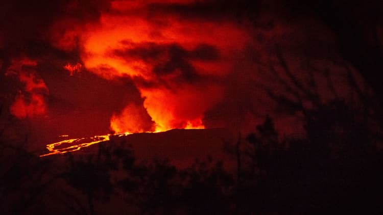World’s largest lively volcano, Mauna Loa, erupts in Hawaii