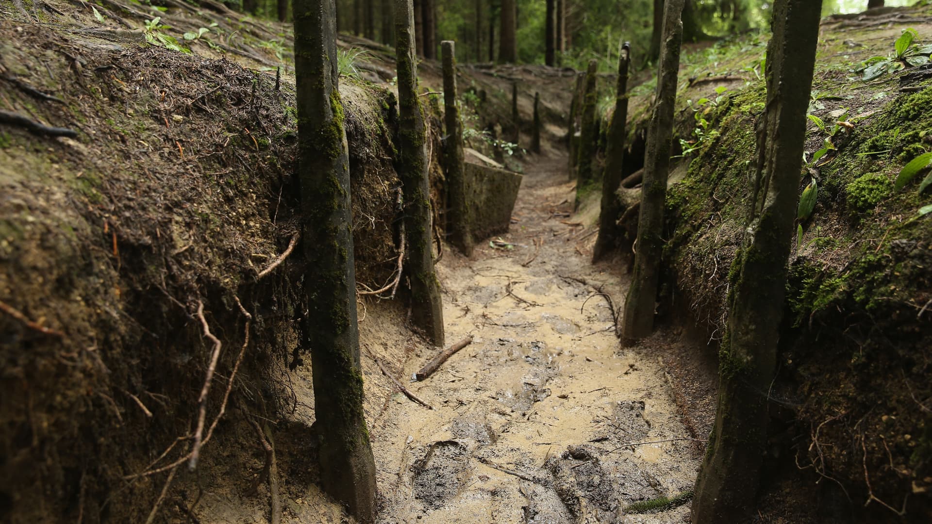 Footsteps from recent visitors are visible among the remains of a former French communications and supply trench from the World War I Battle of Verdun on August 27, 2014 near Verdun, France.
