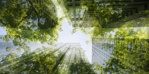 'Green' offices in London are over 25% more expensive. But a modern workforce now expects it