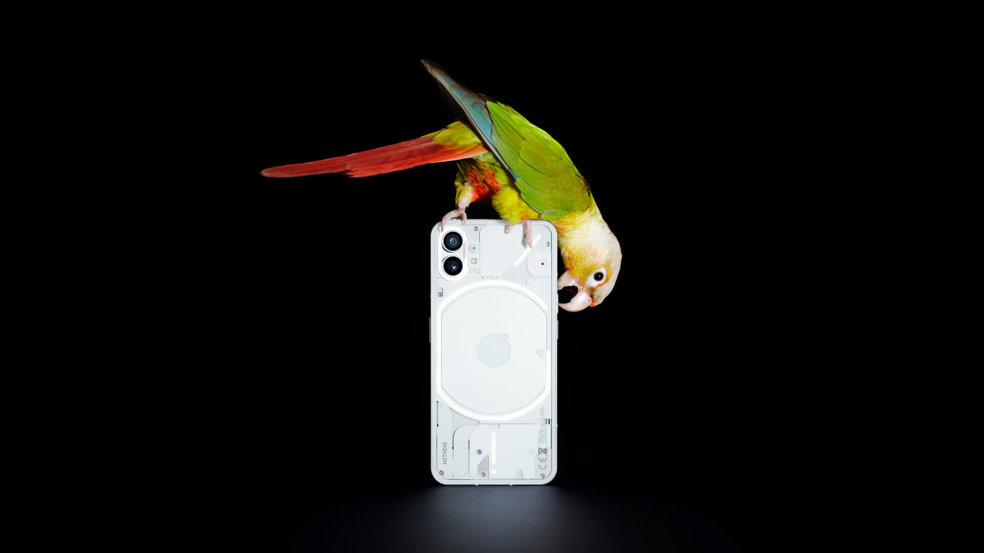 Carl Pei의 Nothing, 미국에서 iPhone을 대체할 스마트폰 출시 계획