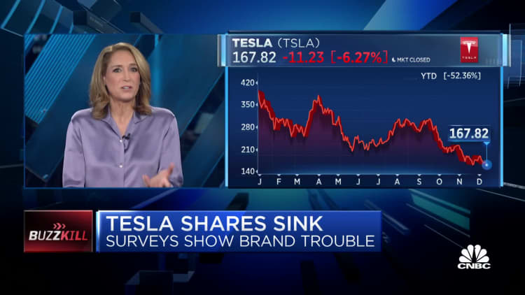 This leg down in Tesla stock is pretty much on Elon, says FM trader Karen Finerman