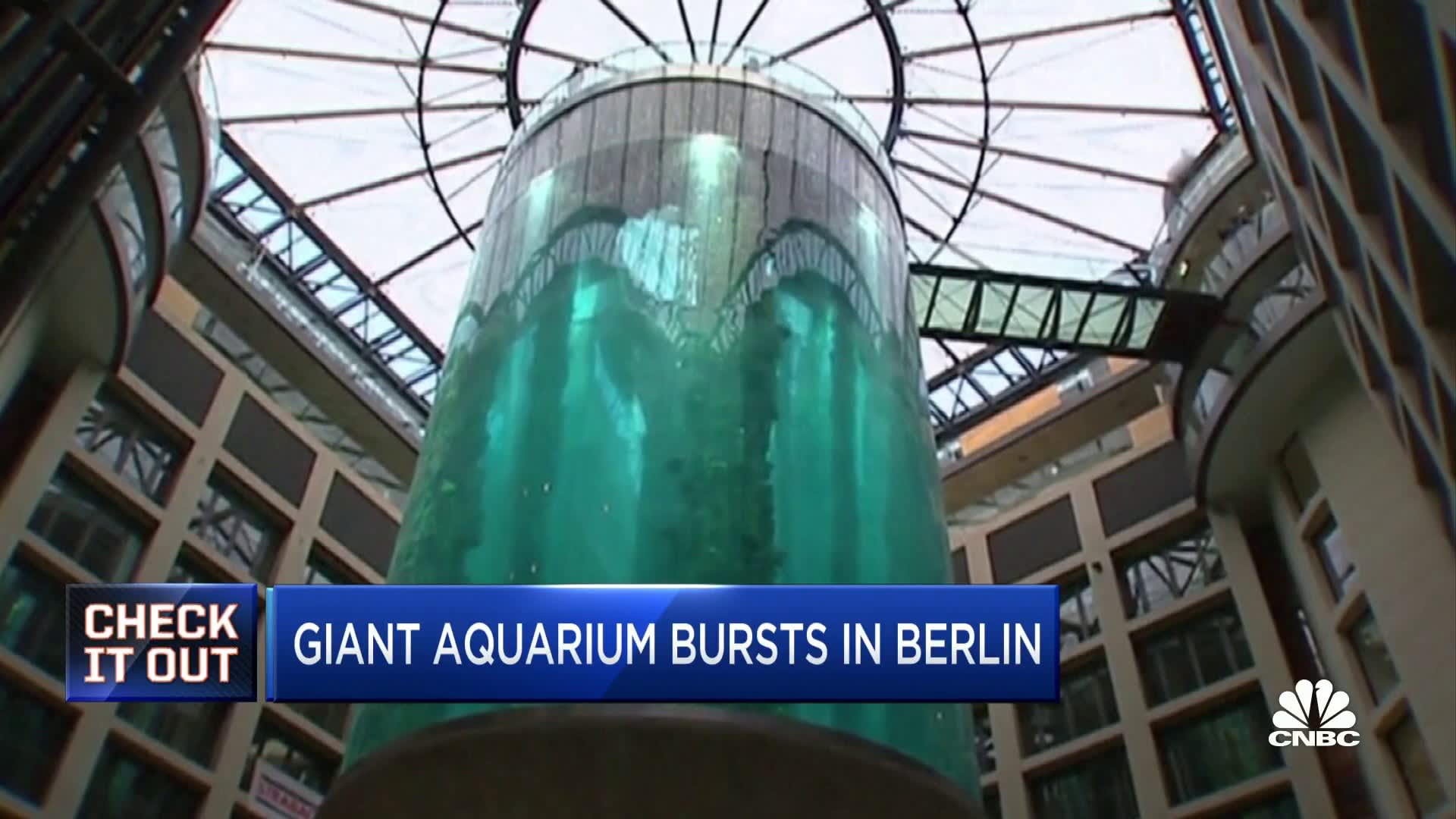Huge Berlin aquarium bursts, spilling 1,500 fish onto