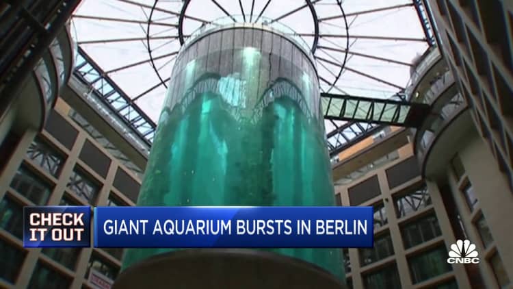 Giant aquarium with nearly 1,500 exotic fish bursts in Berlin