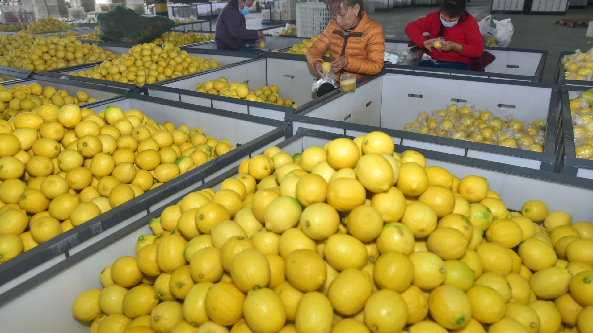 Lemons, peaches and TCM bought as protection from virus