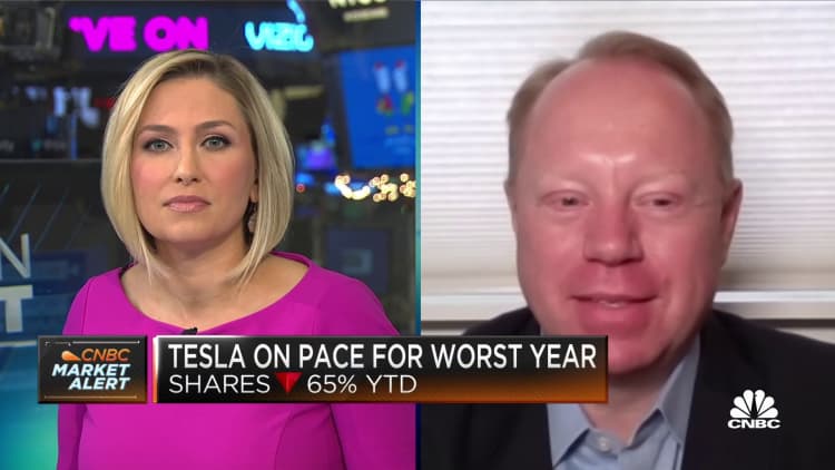 Elon Musk needs to focus on operations at Tesla, says Craig Irwin of Roth Capital